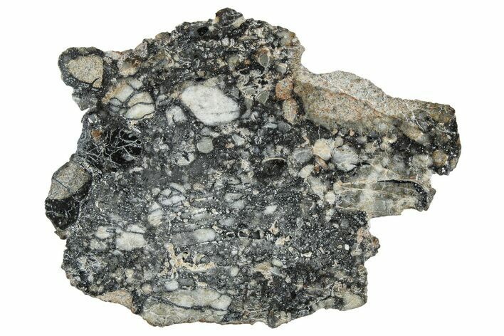 Polished Lunar Meteorite ( g) Slice - Ajdabiya #301122